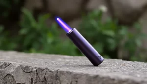 Revisión del plug anal Tantus Flirt out-0-361